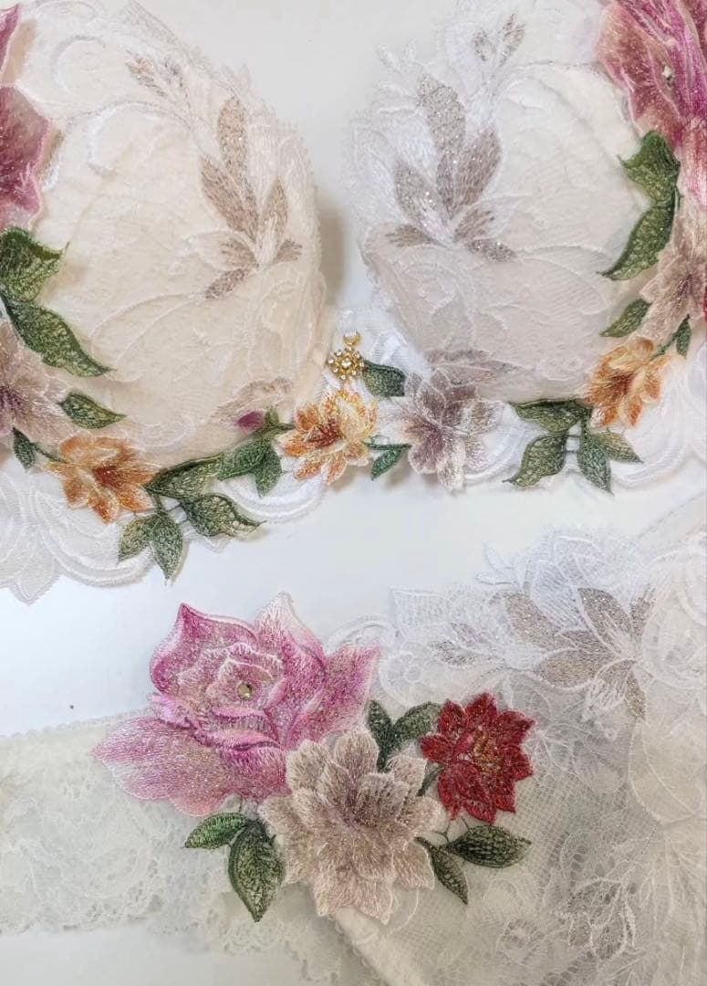 クニ⭐︎店舗限定販売　サルート０９　Ｆ６５　ソングＭ　新品未使用　ワコール