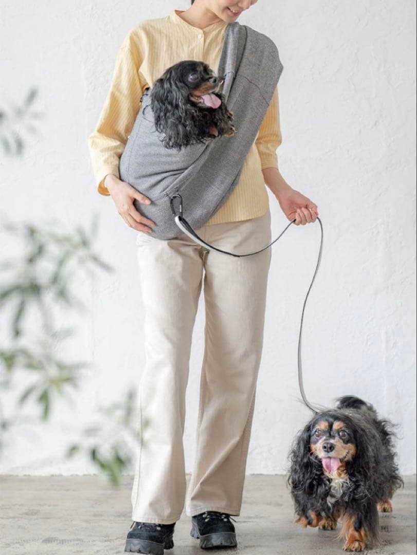 erva 多機能ドッグスリング アベルトMサイズ