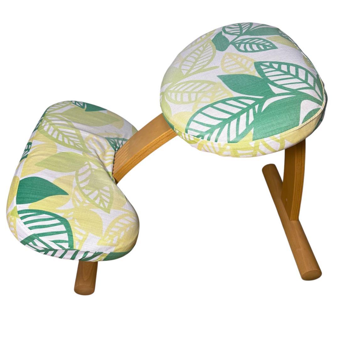 Balans Easy バランスチェア イージー 姿勢矯正 サカモトハウス