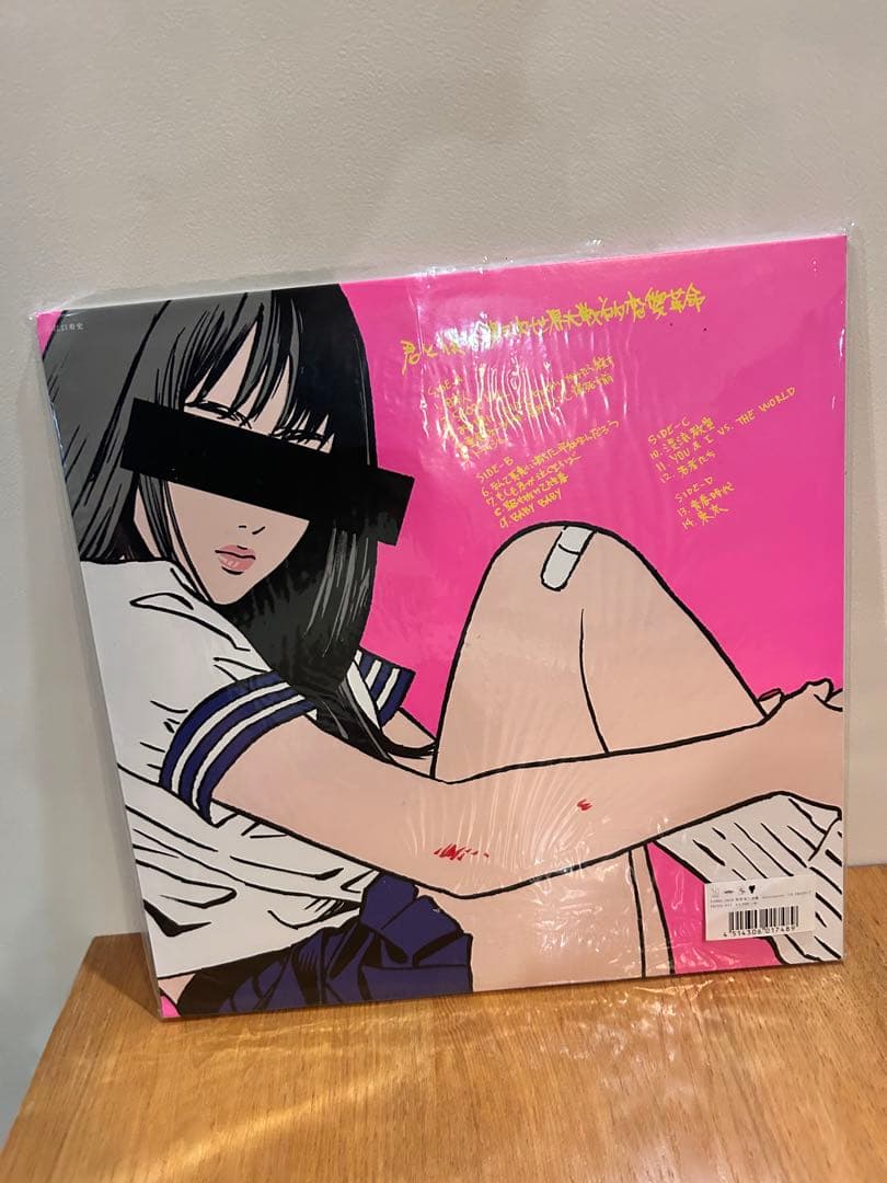 ２組セット銀杏BOYZLP中古レコードDOOR 君と僕の第三次世界大戦的恋愛革命