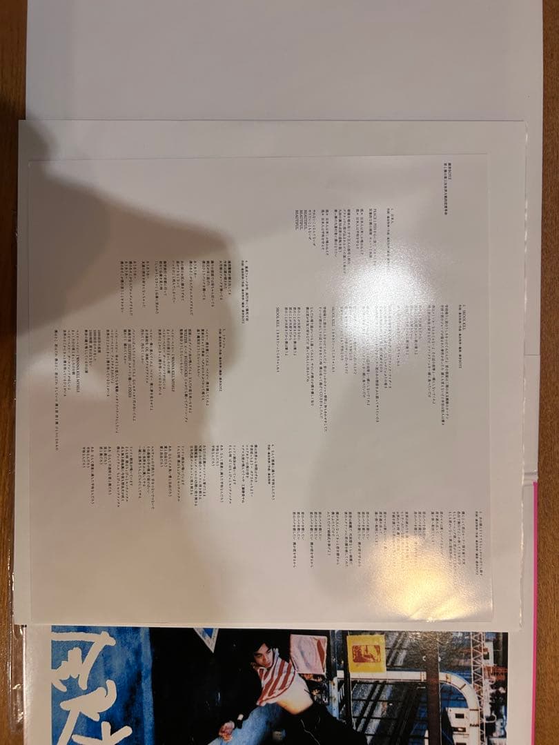 ２組セット銀杏BOYZLP中古レコードDOOR 君と僕の第三次世界大戦的恋愛革命