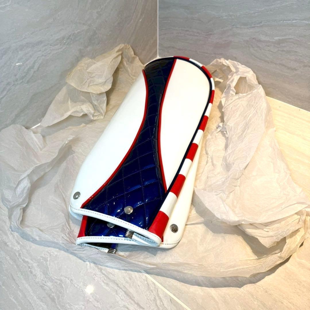 Dynamic Gold TRUE TEMPER ツアーモデル　キャディバッグ