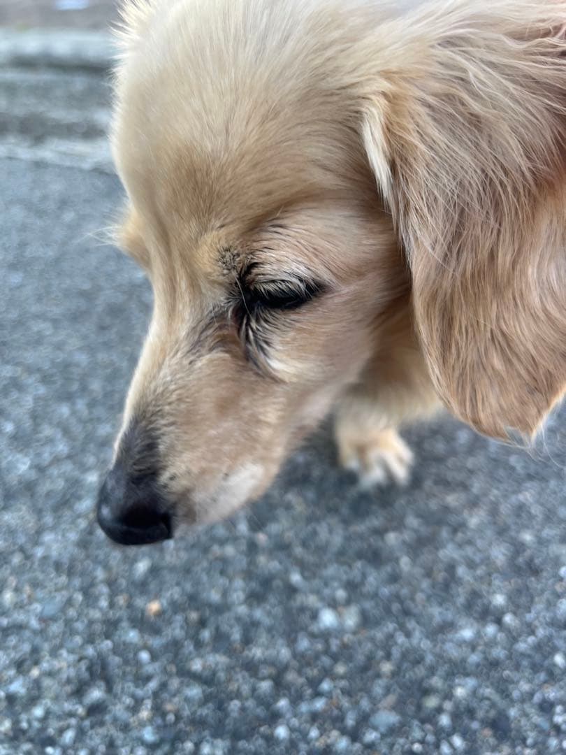 口元写真追加してみました