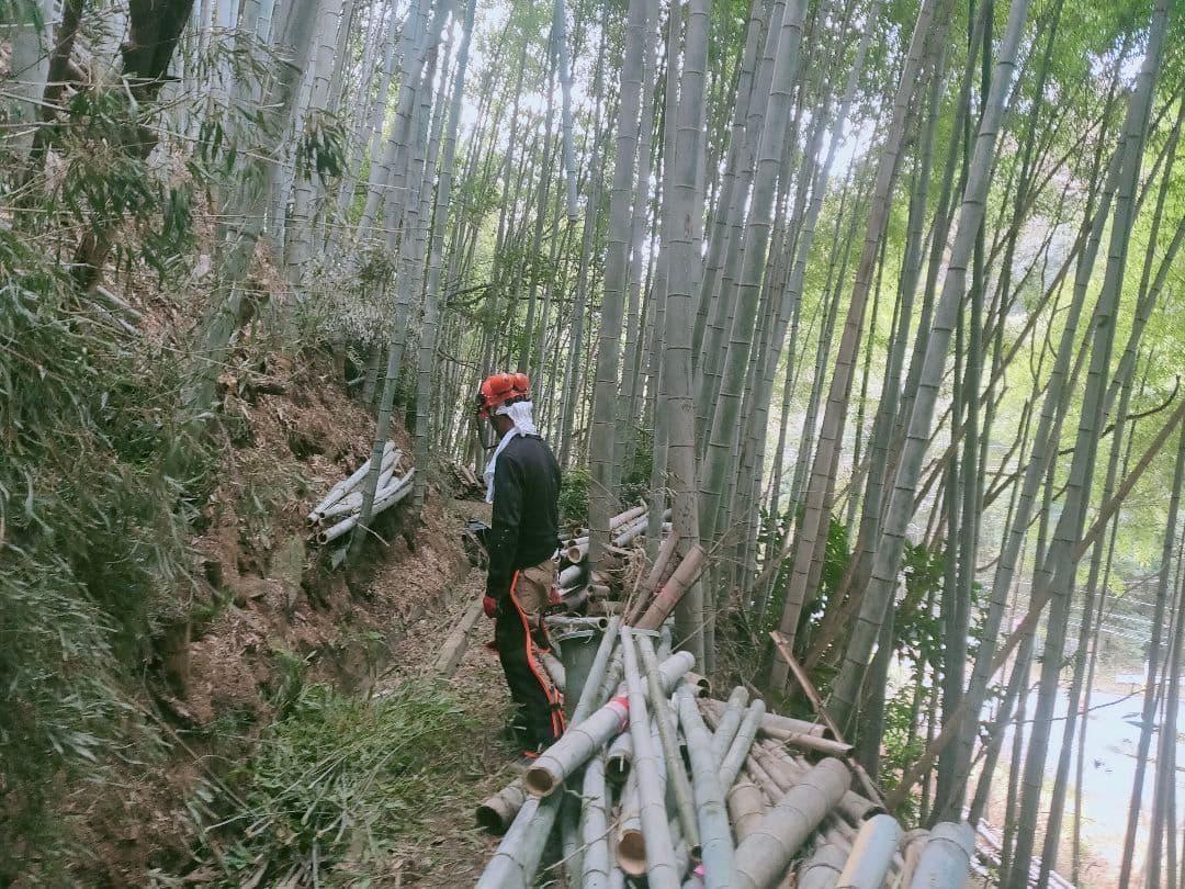 30kg米袋入り竹炭3袋(大粒)(粉ふるい済み)(120リットル)　大阪産