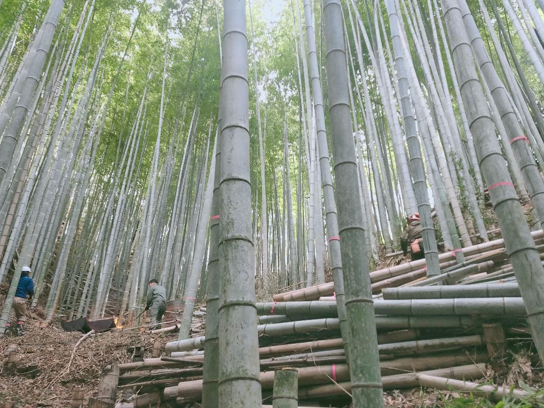 30kg米袋入り竹炭3袋(大粒)(粉ふるい済み)(120リットル)　大阪産