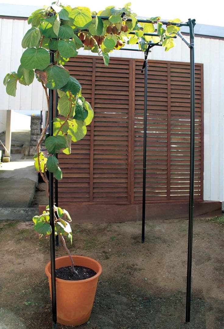 【新品未使用❣️】耐久性スチールトレリス 120cm x 90cm x 180cm