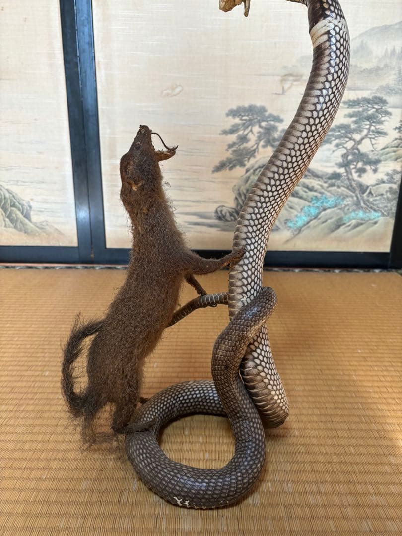 【希少骨董品】コブラとイタチ