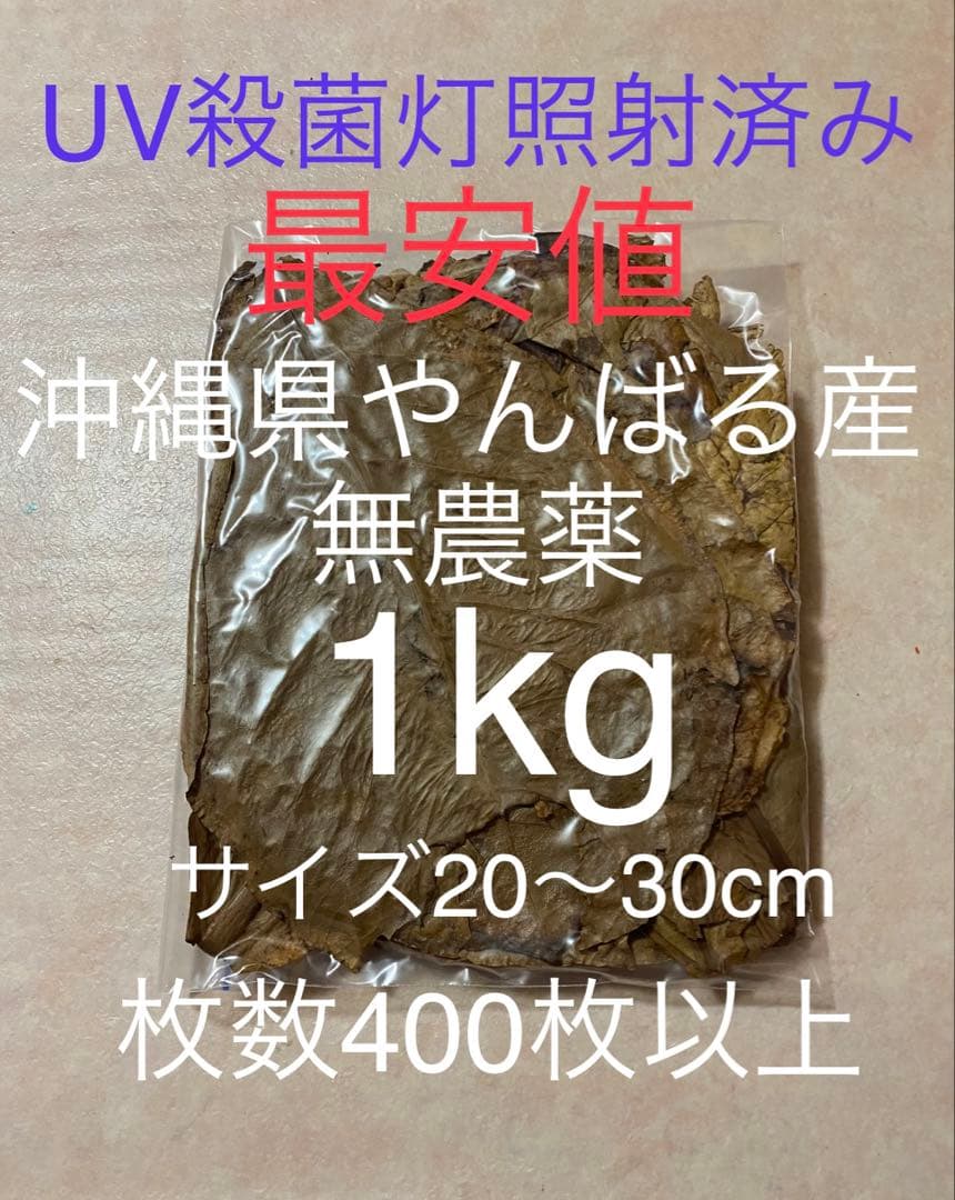 沖縄県やんばる産マジックリーフ 1kg UV殺菌灯照射済み③