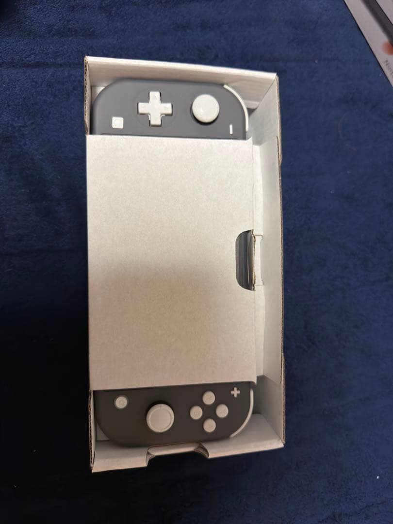 り*む様 Nintendo Switch Lite グレー 本体