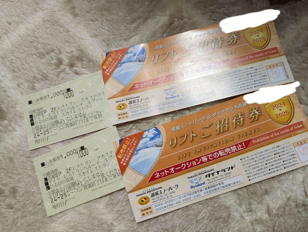 高鷲/ダイナランド共通リフト券