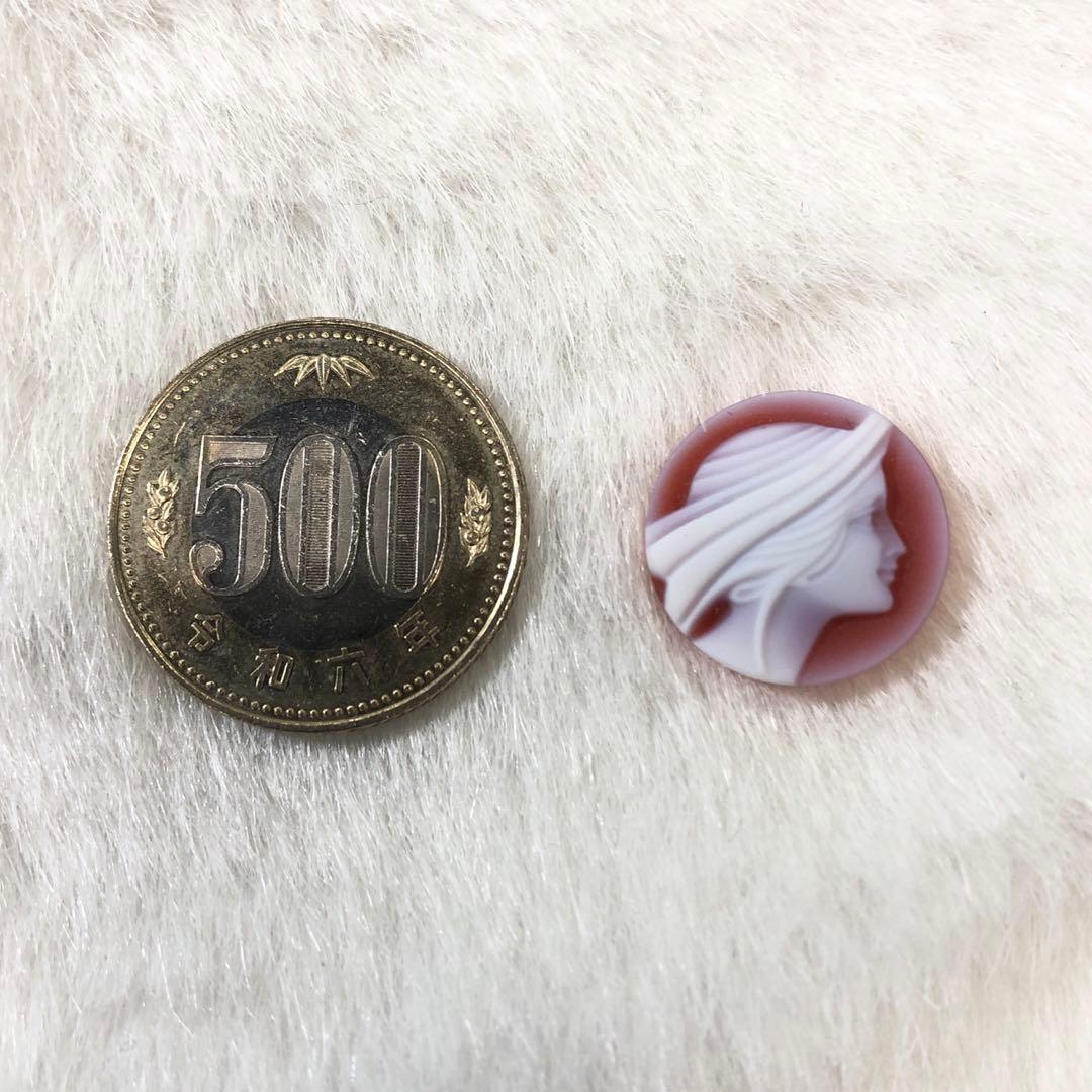 エルヴィン・パウリーのカメオルース