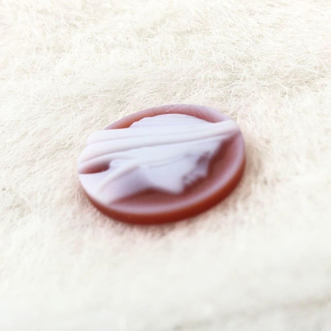 エルヴィン・パウリーのカメオルース