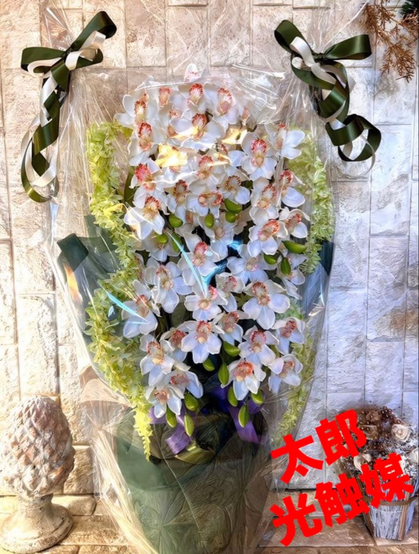 光触媒　人工観葉植物　フェイクグリーン　胡蝶蘭　シンピジューム６本立ち