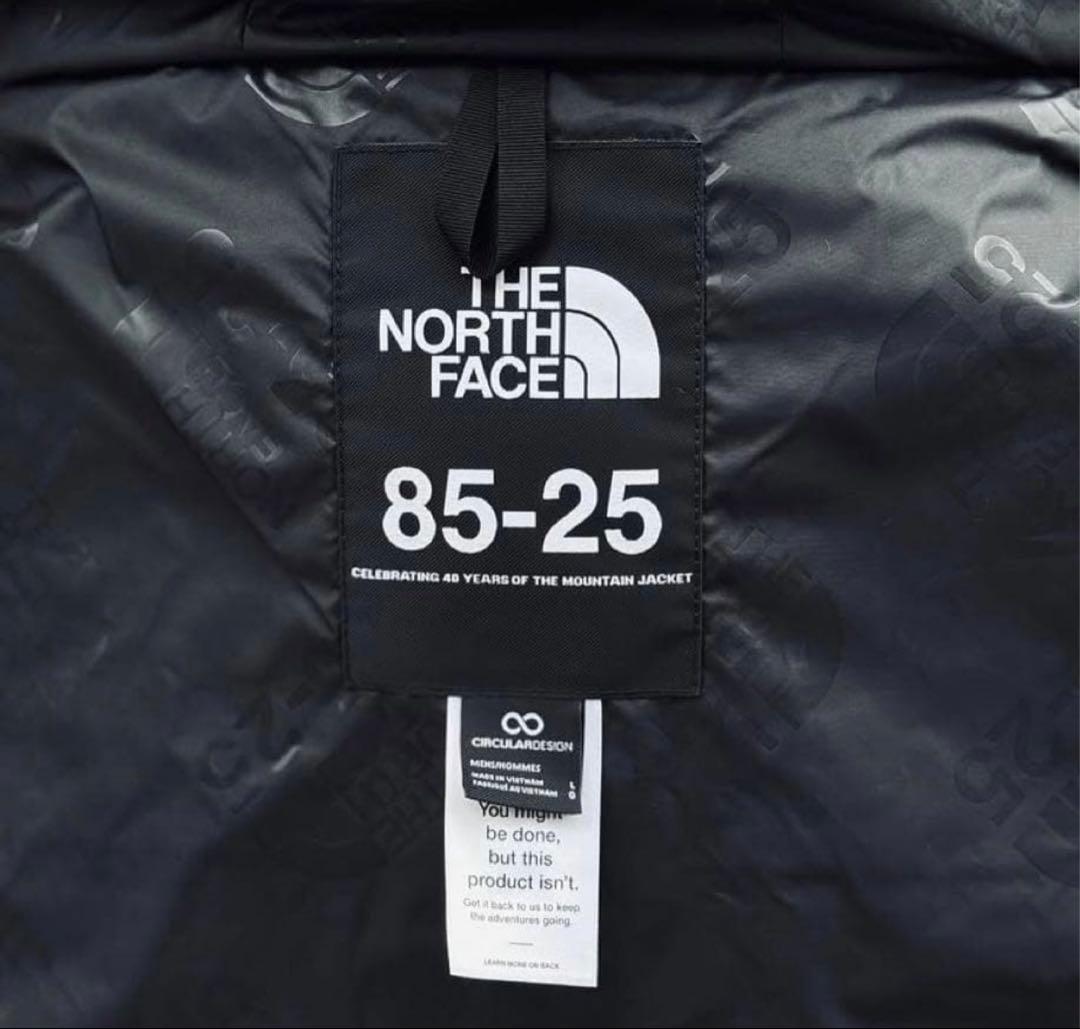 ノースフェイス mountain jacket USモデル L(日本XL)