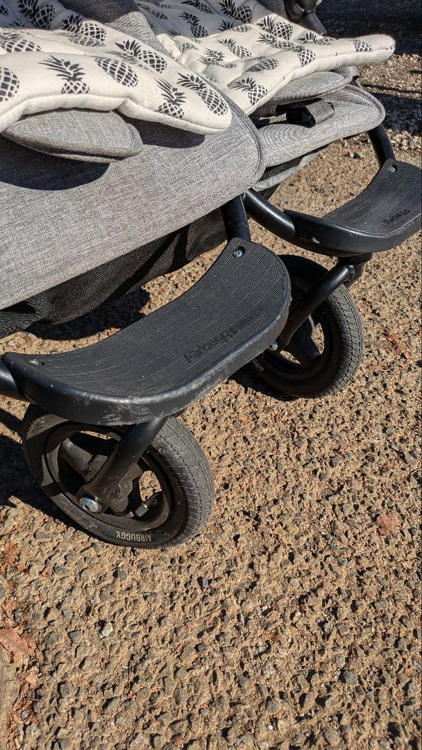 （屋内保管）エアバギー 2人乗り