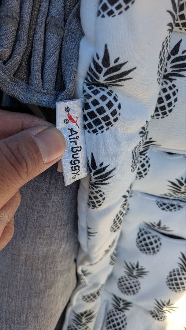 （屋内保管）エアバギー 2人乗り