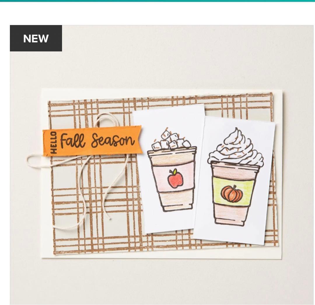 １点限り♡新作　秋スタンプ&ダイ　スタンピンアップ