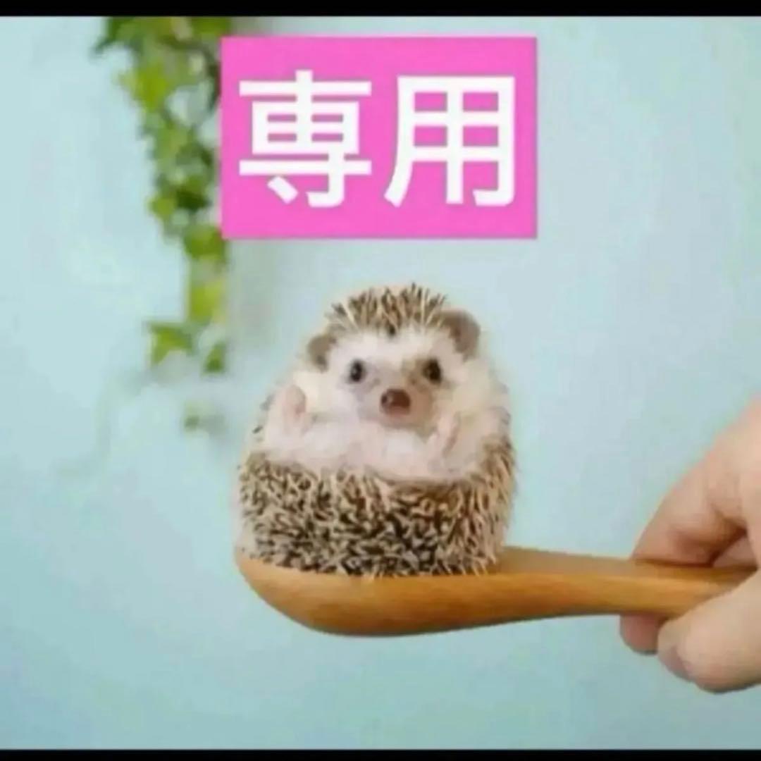 8点、グロウパレット1番✖️4点、2番✖️2点、オフオン2点