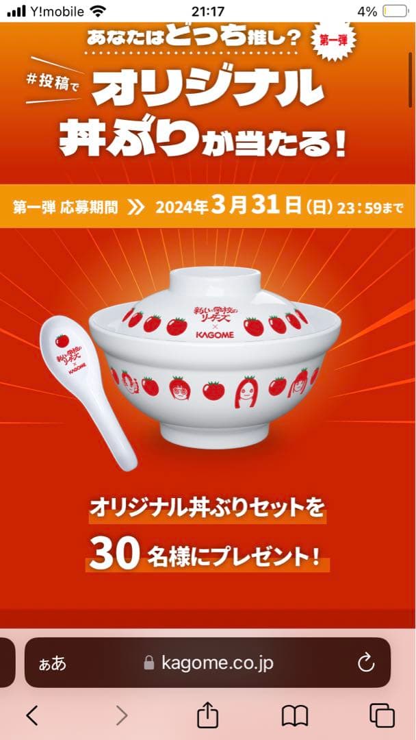 新しい学校のリーダーズ × KAGOME オリジナル丼ぶり & れんげ