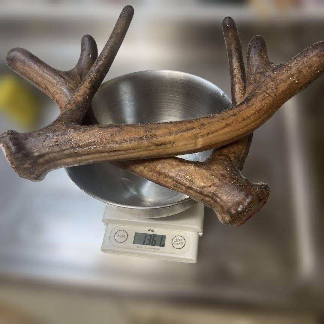 鹿茸　1360g 蝦夷鹿　エゾシカ