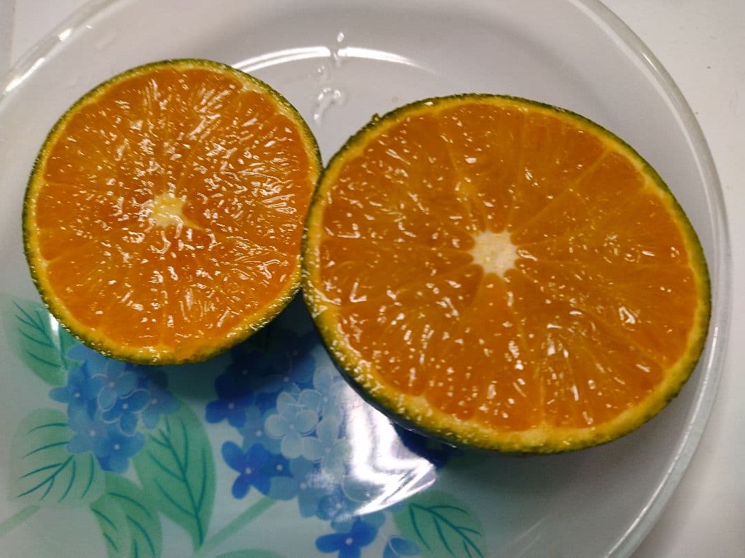 確認画面☆完熟たんかん☆自然栽培・農薬不使用♪