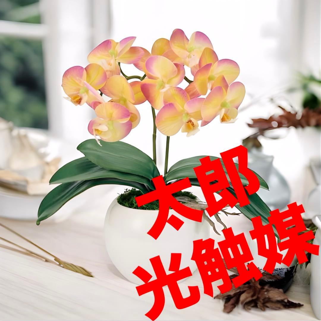 光触媒　人工観葉植物　フェイクグリーン　胡蝶蘭　ピュアオーキッド2本立ラベンダー