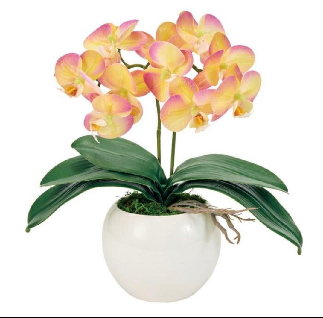 光触媒　人工観葉植物　フェイクグリーン　胡蝶蘭　ピュアオーキッド2本立ラベンダー