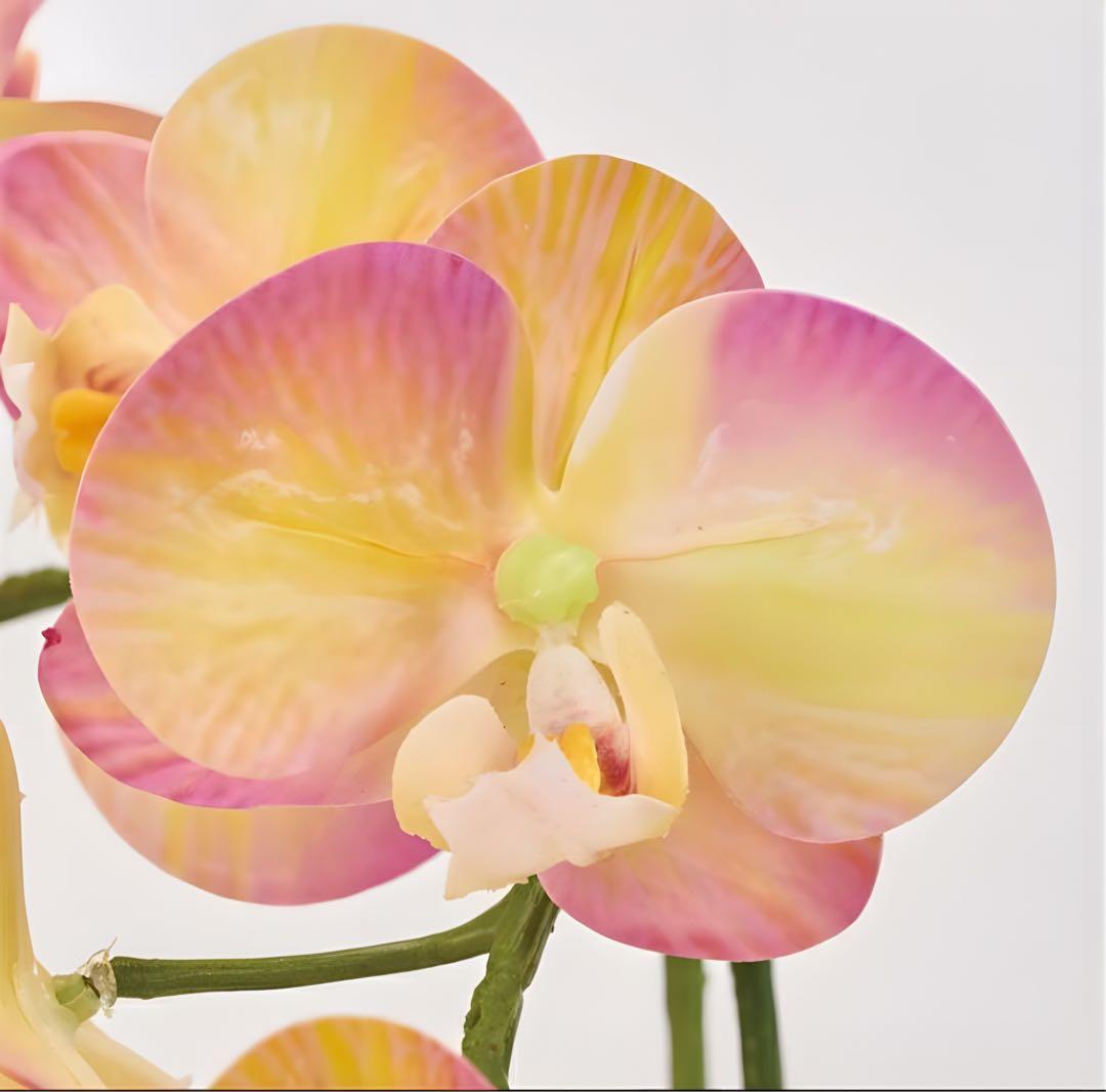 光触媒　人工観葉植物　フェイクグリーン　胡蝶蘭　ピュアオーキッド2本立ラベンダー