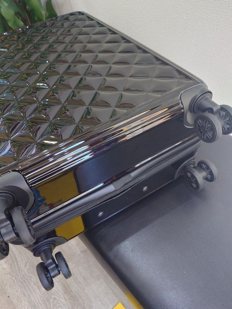 タグ付き未使用　セシルマクビー　キャリングケース　Lサイズ