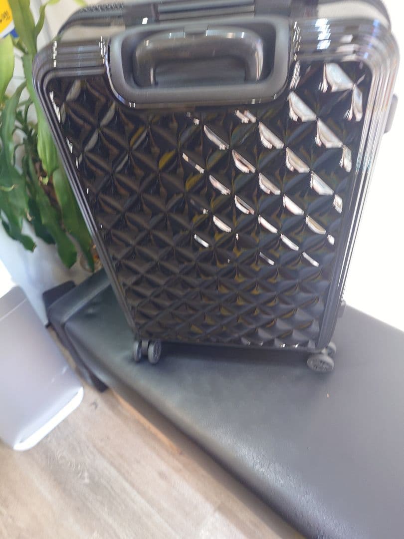 タグ付き未使用　セシルマクビー　キャリングケース　Lサイズ