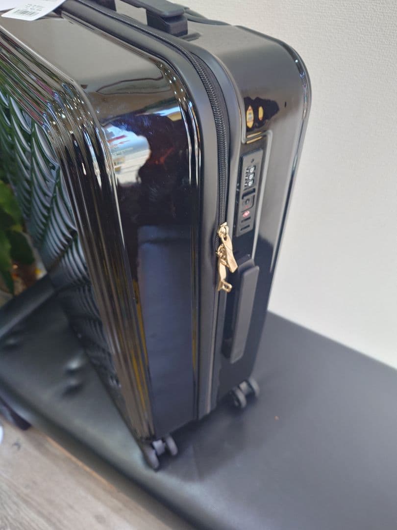 タグ付き未使用　セシルマクビー　キャリングケース　Lサイズ