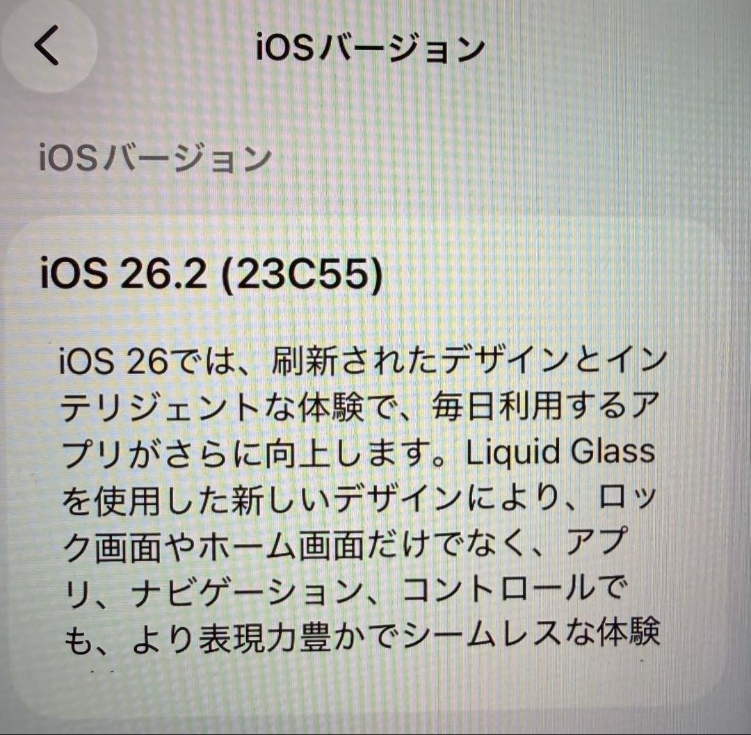faniさん専用　iPhone SE2 128GB美品 箱あり付属品は全て未使用