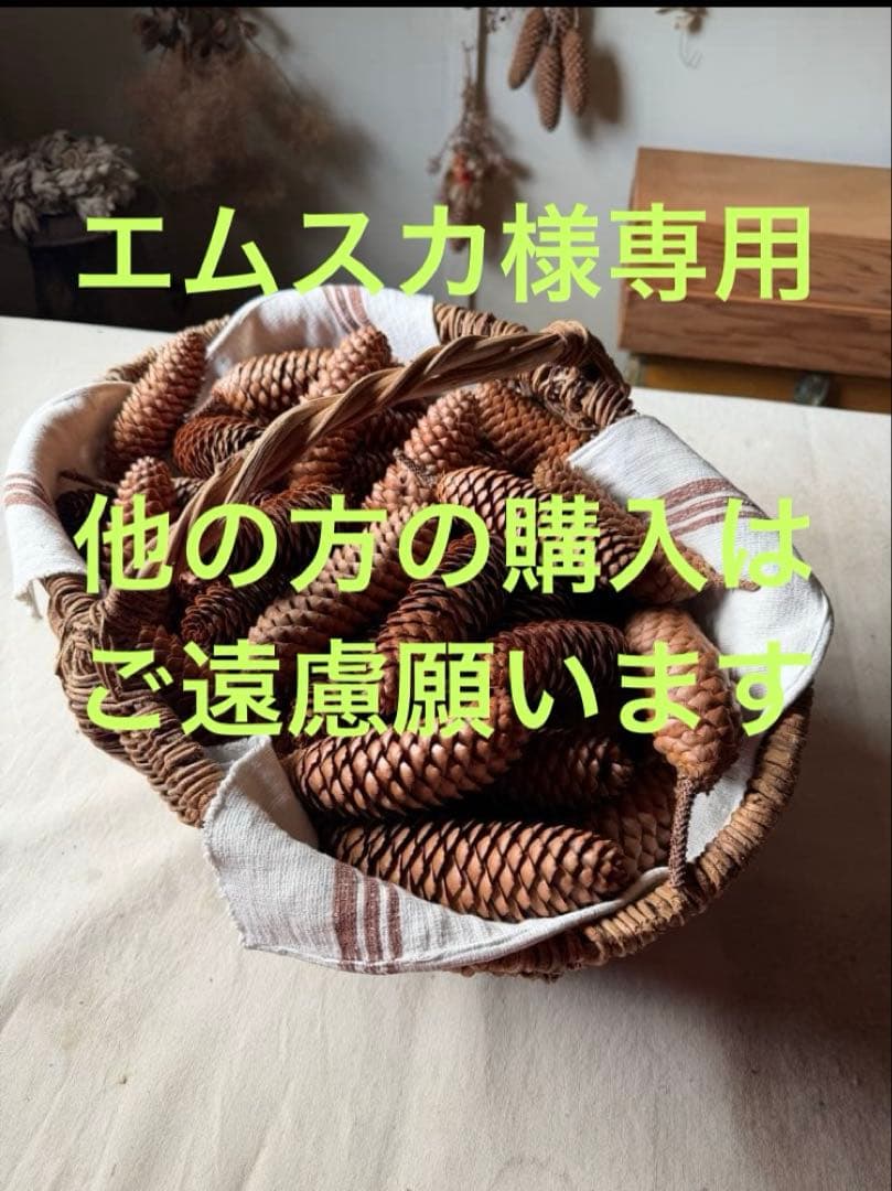 ドイツトウヒ 松ぼっくり リース材料