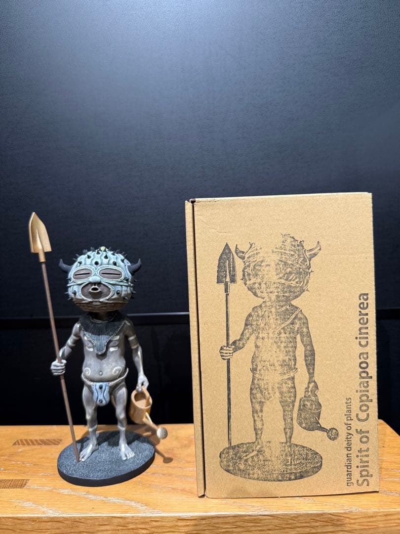 その他 Ozwrt Spirit of Copiapoa cinerea