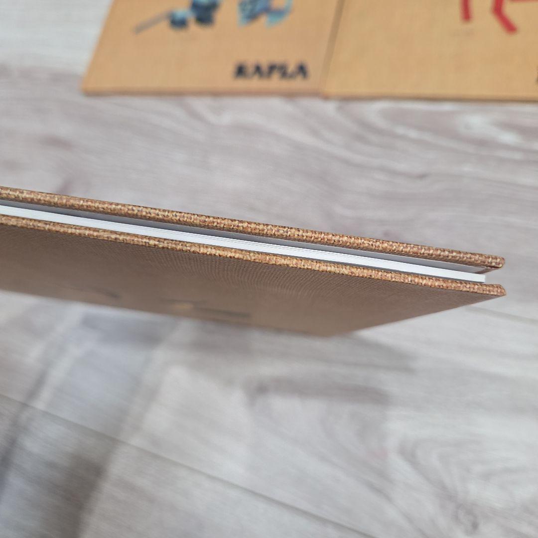 カラーカプラ　カプラ　KAPLA　積み木　120ピース+おまけピース9色