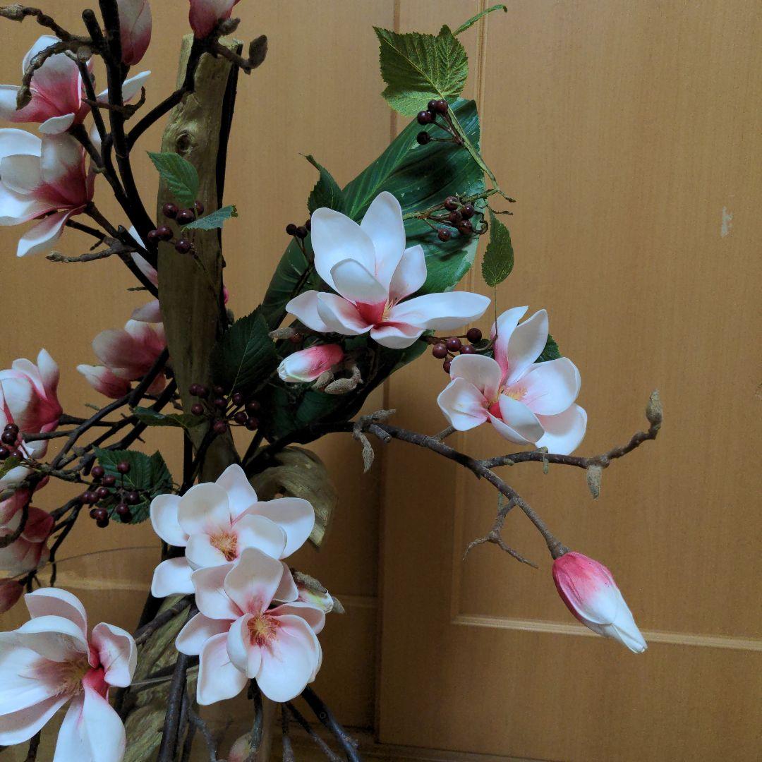 エミリオ・ロバ　モクレン　マグノリア