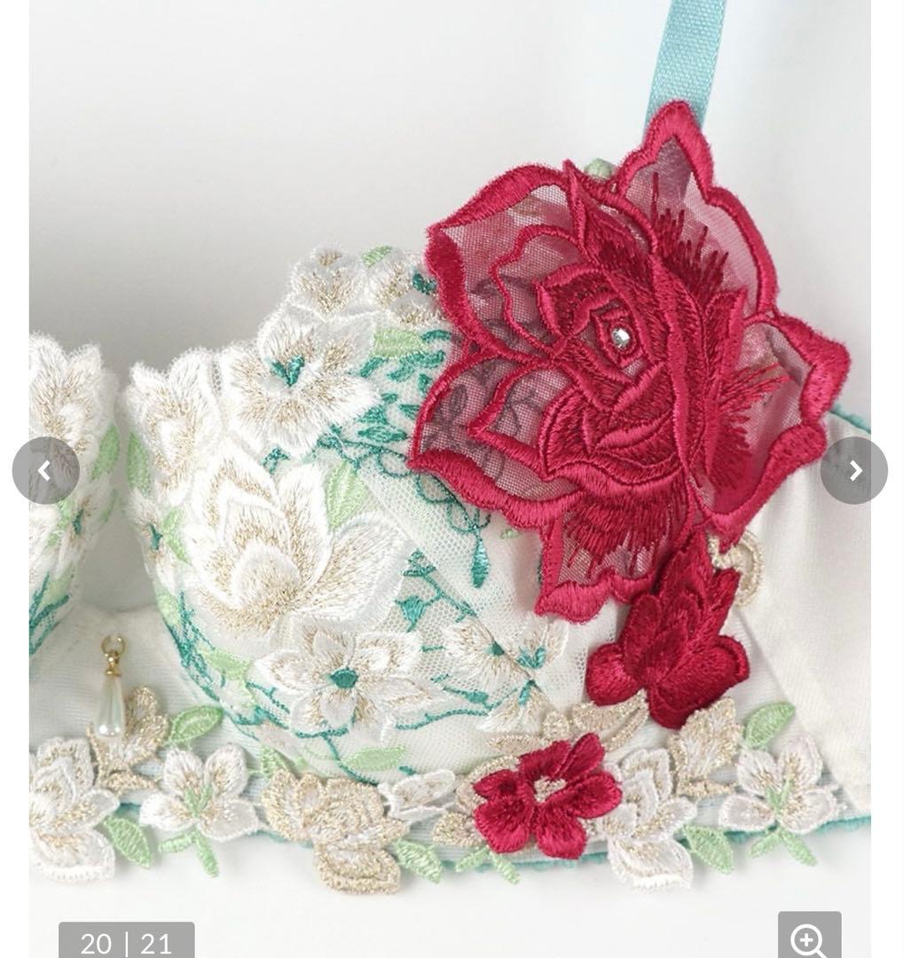 新作Salute サルートブラジャー+ショーツ2型の3点セット　E65＆Mサイズ