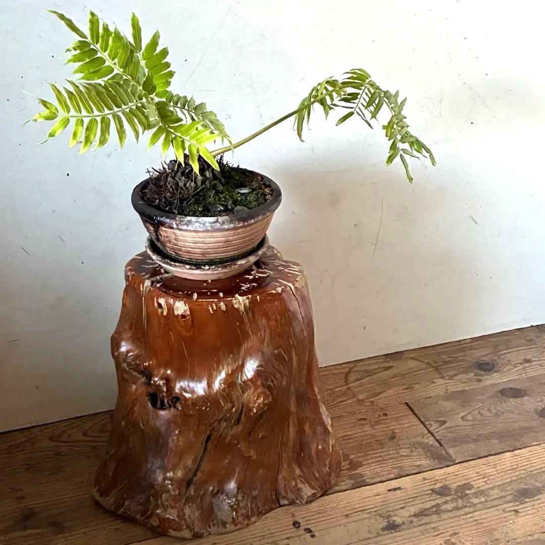 ヴィンテージ 天然木 切り株 根張り スツール プランター サイドテーブル