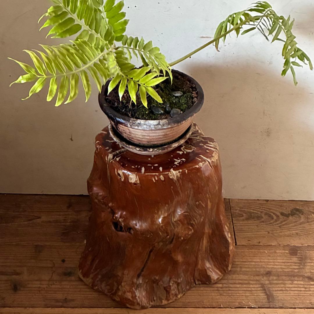 ヴィンテージ 天然木 切り株 根張り スツール プランター サイドテーブル