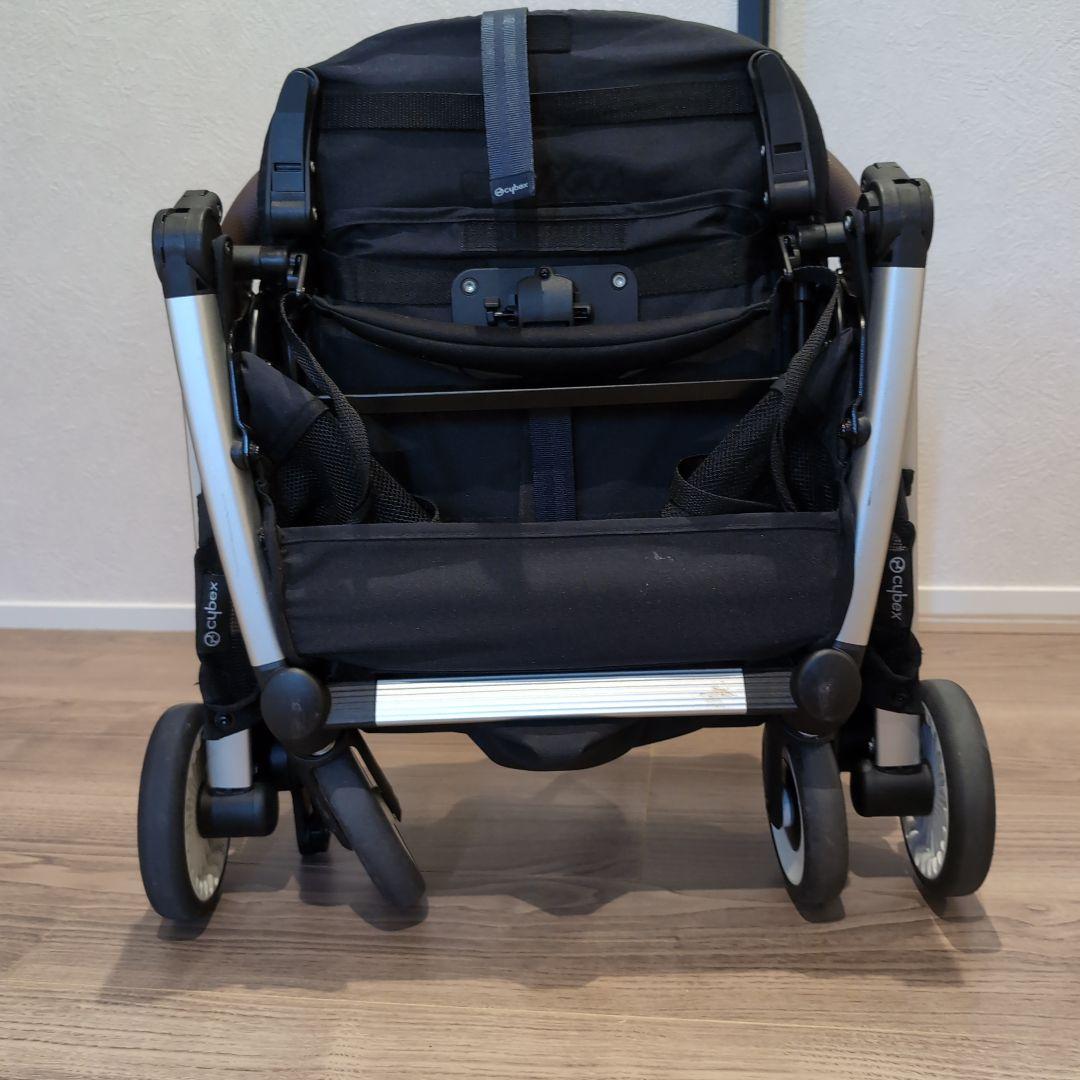 サイベックス オルフェオ2023