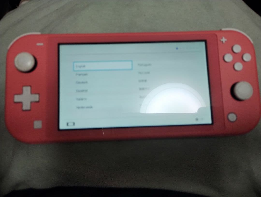 ■ジャンク■Nintendo■Switch LITE■本体■縦縞