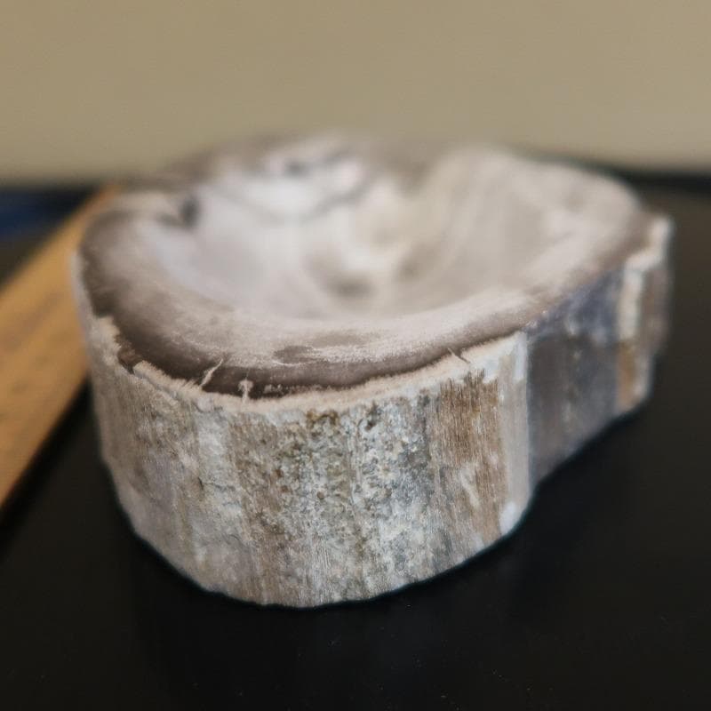 自然石加工品－2（ケニヤ産珪化木（木の化石）のキートレイ）