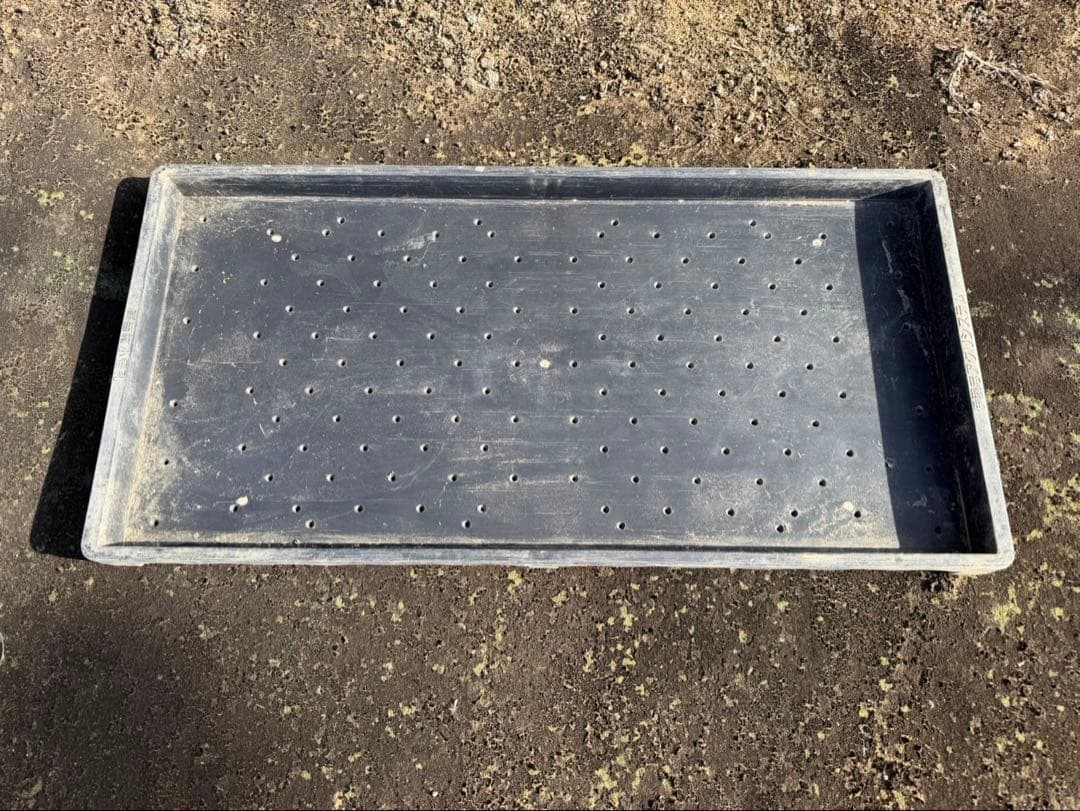 水稲育苗箱　185枚