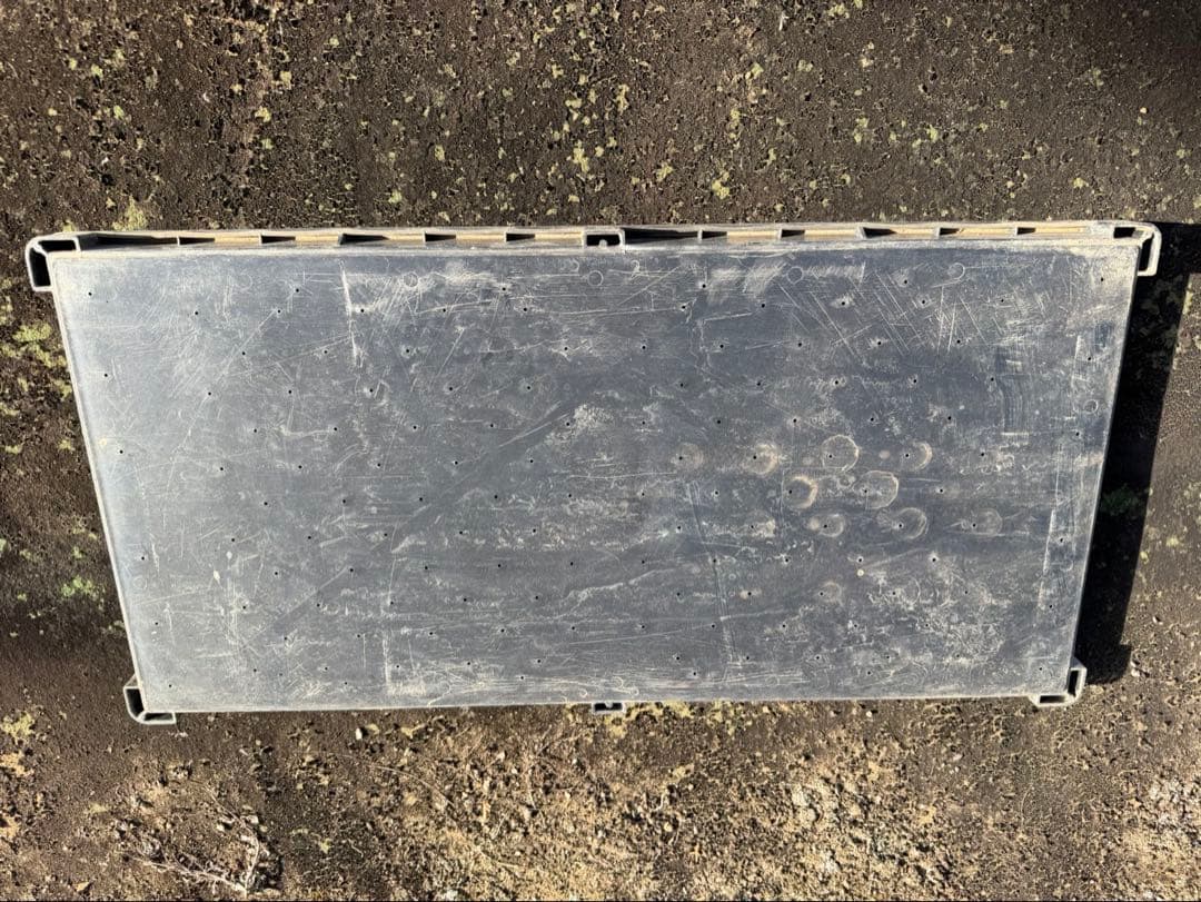 水稲育苗箱　185枚