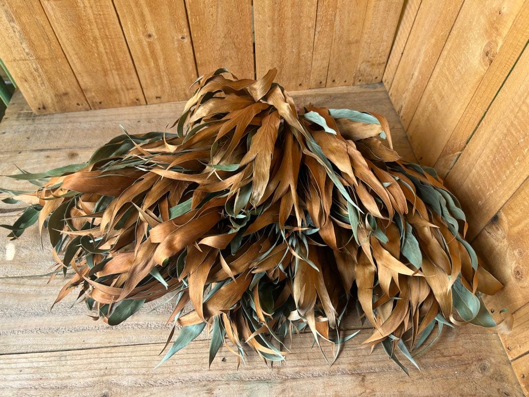 ✨人気花材❗️【204】50本 グレビリアゴールド　ドライ　スワッグ リース