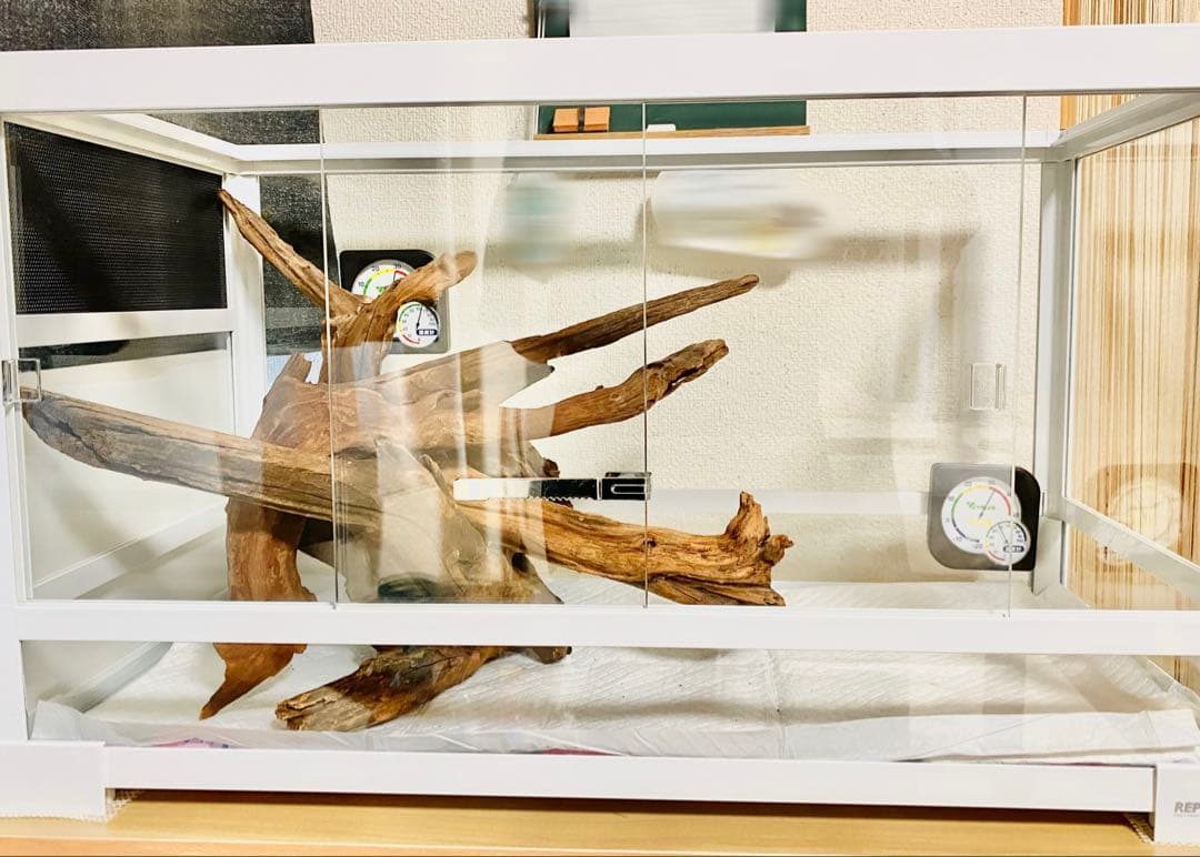 爬虫類ケージ　三晃商会　パンテオン　ホワイト　ＷＨ６０３５