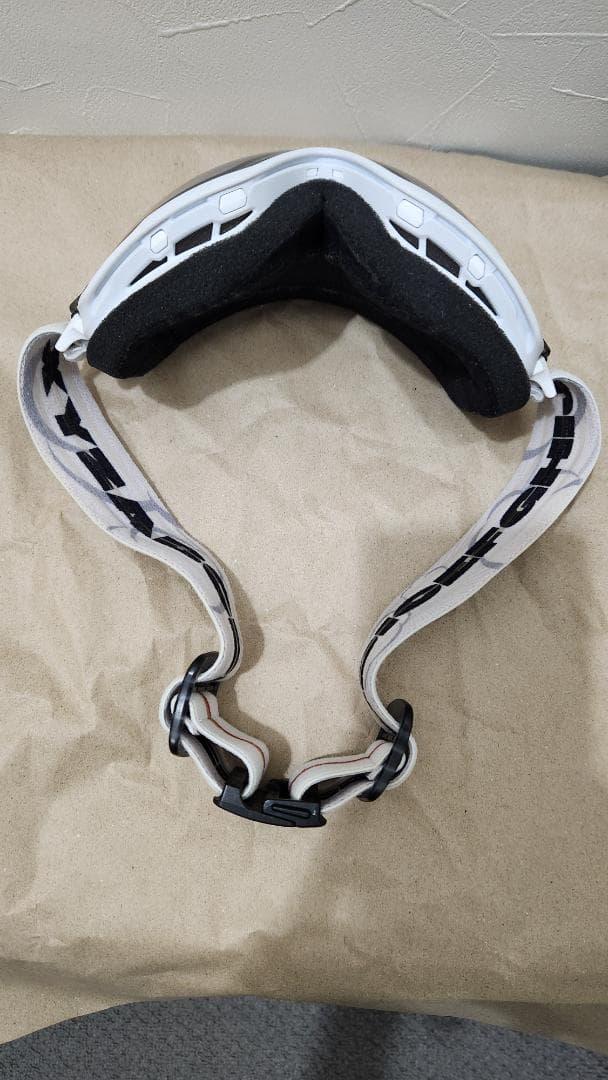 DICE BANK ゴーグル BANK C-UL LGR/LSI 2023-24