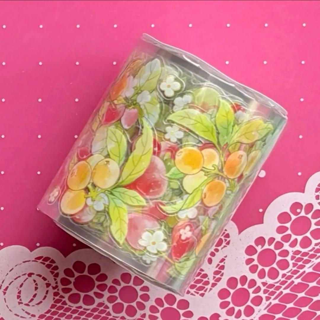 PET 果子多多 ダイカット 5cm×5m 海外マステ　果物　フルーツ