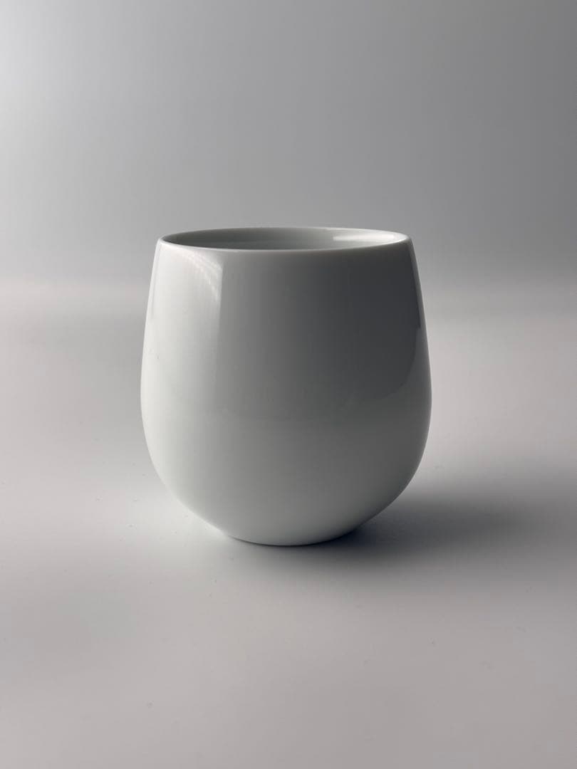 【在庫処分】オーストラリア Magnolia Mountain 有田焼