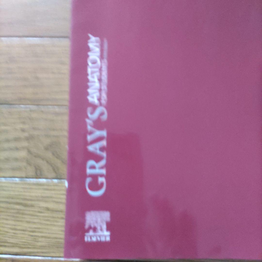 グレイ解剖学　ami☆　交渉中